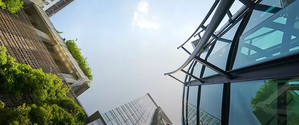 MorganStanleyFeatured