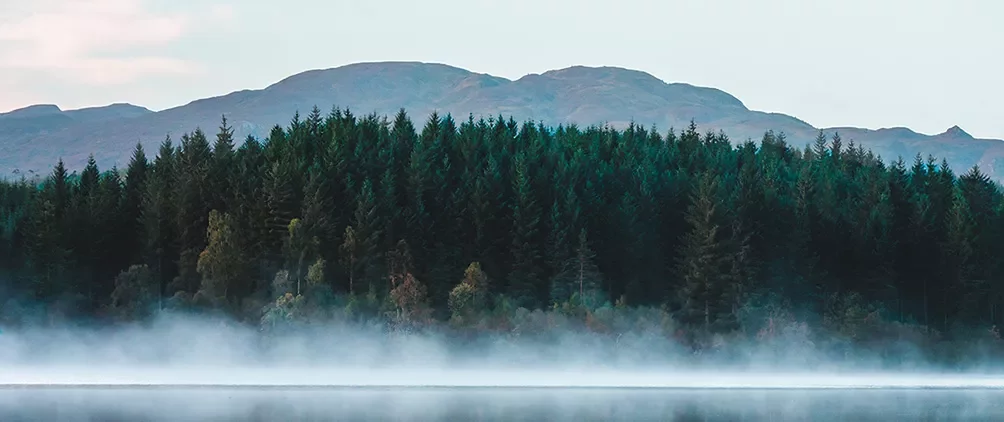 LoomisSaylesFeatured