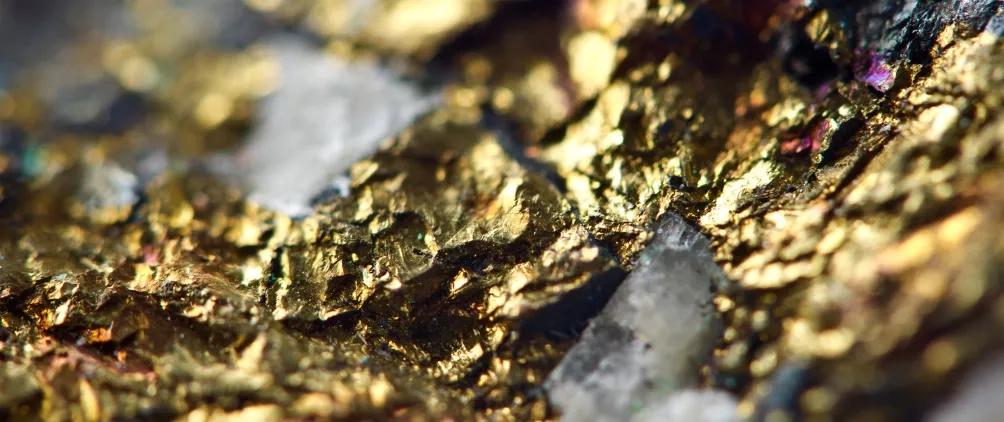 Design sem nome (11)