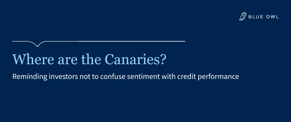 Where are the canaries